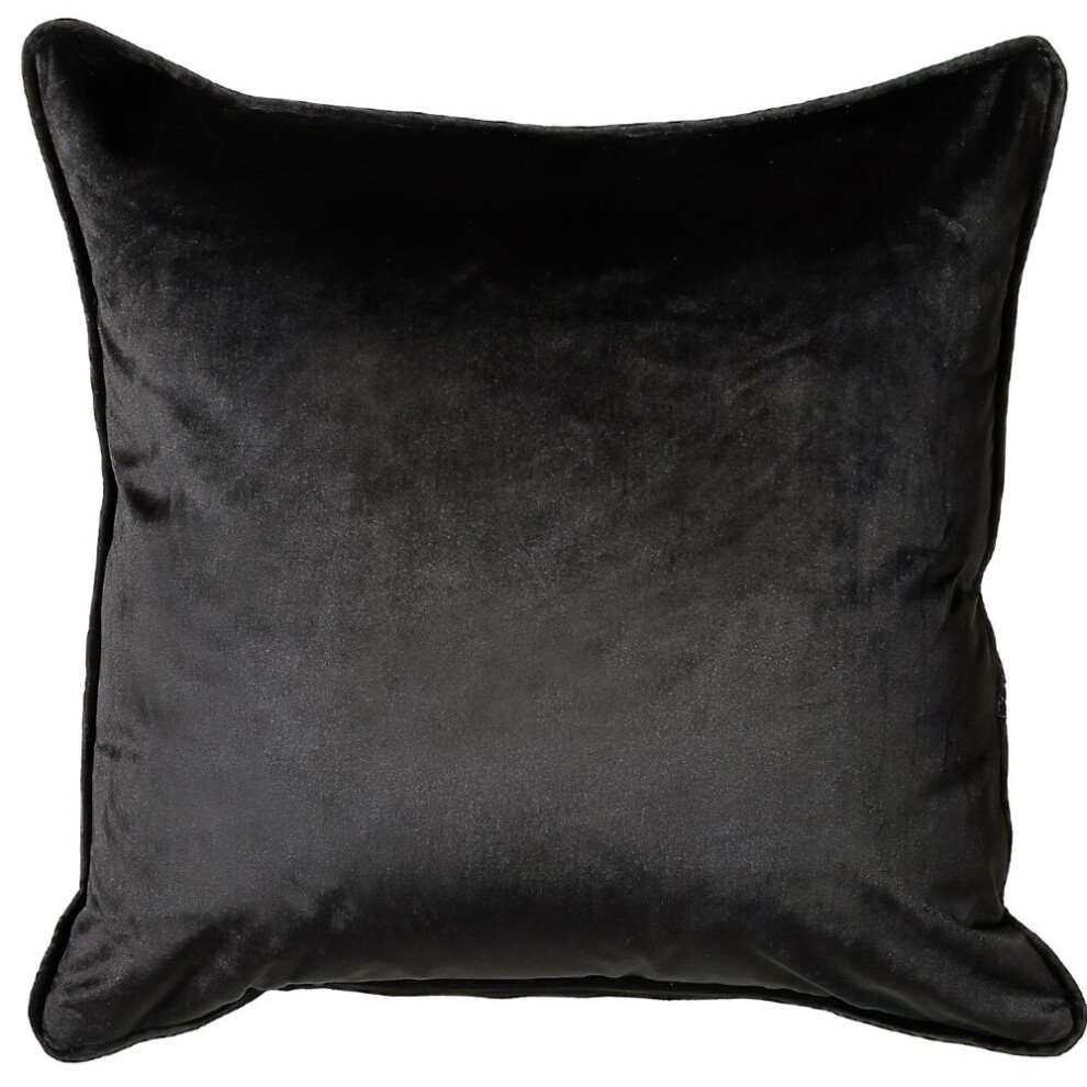 (Black, 45 x 45 Cm) Scatter Box Bellini Velour Piped Feather Filled Cushion