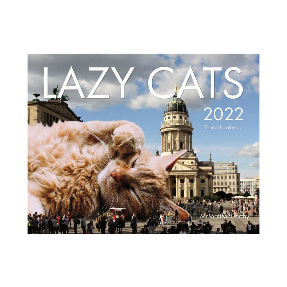 2022 Lazy Cats Calendar Creative Healing Decoration