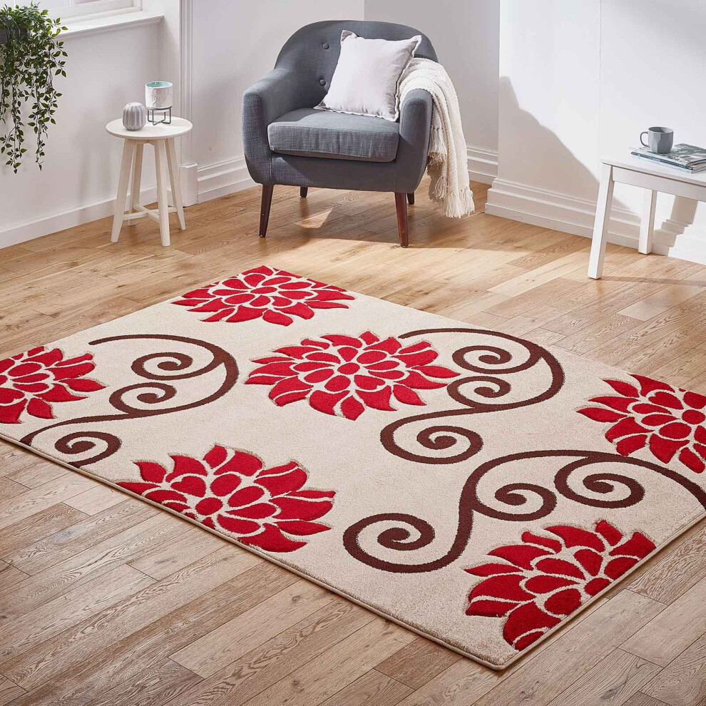 (Beige / Red, 120 x 170 cm) Floral Rugs Multi Coloured Flower Carpet