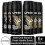 Lynx Lynx Body Spray Deodorant, Gold, 6 Pack, 150ml 3