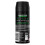 Lynx Lynx Body Spray Deodorant, Africa, 6 Pack, 150ml 3