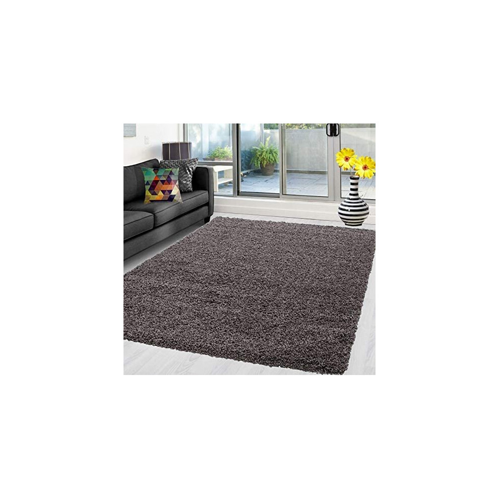 (Taupe, 120 x 170 cm (4 ft x 5 ft 6 in)) X Large Small Soft Shaggy Rugs Modern Non Slip Rug