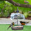 Hanging Wild Bird Feeder Station Height Adjustable Baffle Dome Peanut Seed Feed 1