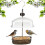 Hanging Wild Bird Feeder Station Height Adjustable Baffle Dome Peanut Seed Feed 3