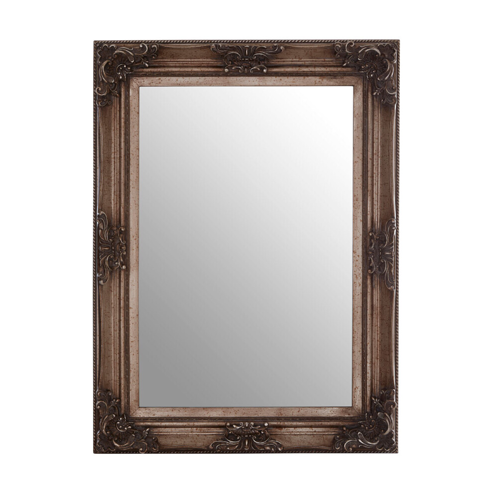 Premier Housewares Rectangular Wall Mirror/ Classic Mirrors For Bathroom / Bedroom / Garden Walls Fancy Wall Mounted Mirrors For Hallway