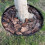 (10M) Flexible lawn edging with 30 Securing Anchor Pegs 2