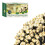 GardenKraft 17460 50 Warm White Solar Powered Outdoor LED String Lights 1