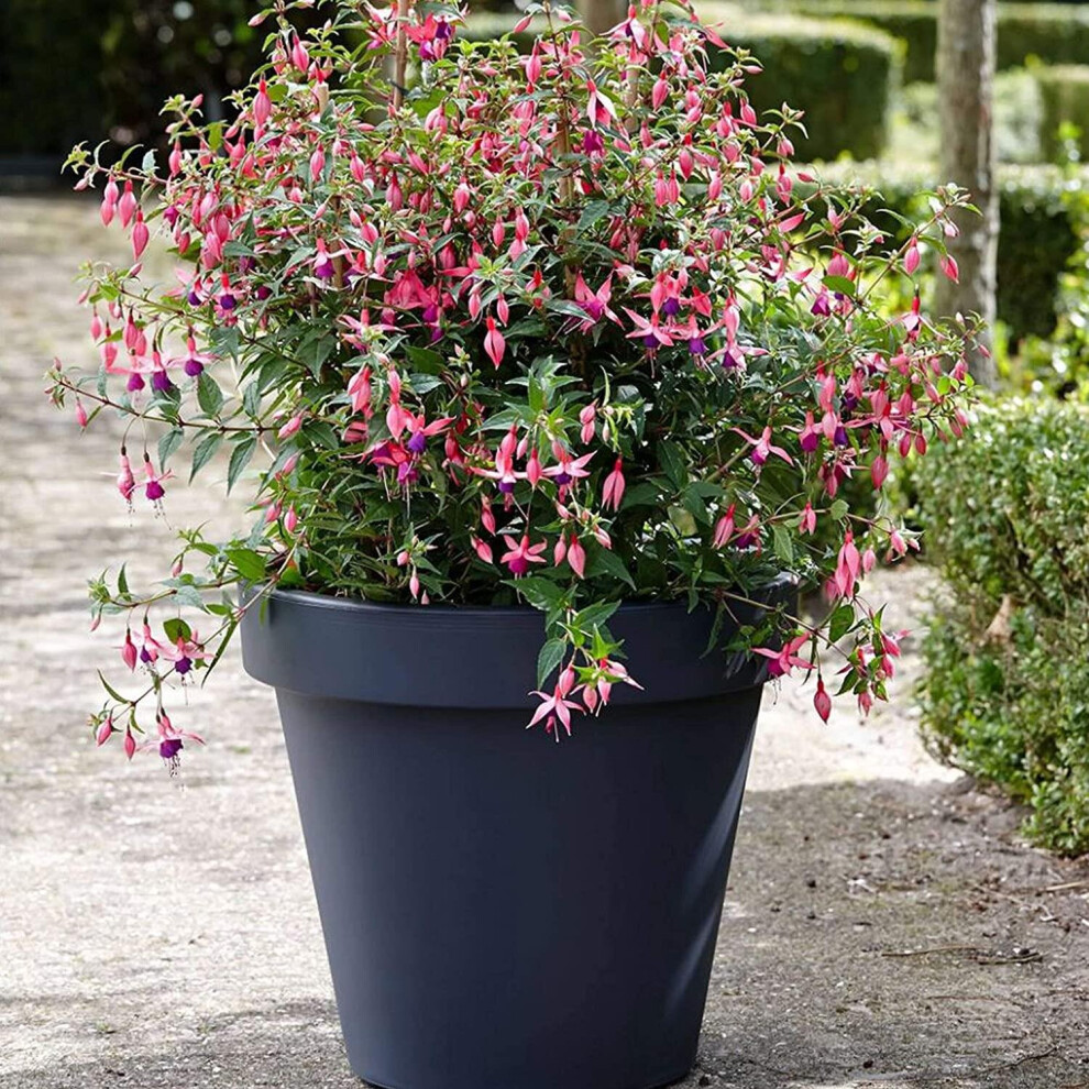 (Large 35 x 31cm) GEEZY Garden Plastic Pot Indoor Outdoor Plant Pot Anthracite Round Flower Pot Planter
