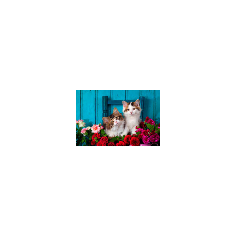 Kittens And Roses 500 Piece Jigsaw Puzzle