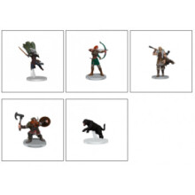 Magi: The Gathering Miniatures: Adventures in the Forgotten Realms - Companions of the Hall Starter