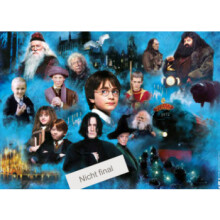 Puzzle 1000 piezas: El mundo mágico de Harry Potter Color único