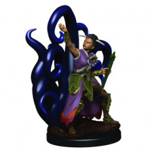 Figuras Premium D&D Icons of the Realms: Hechicera Humana Femenina
