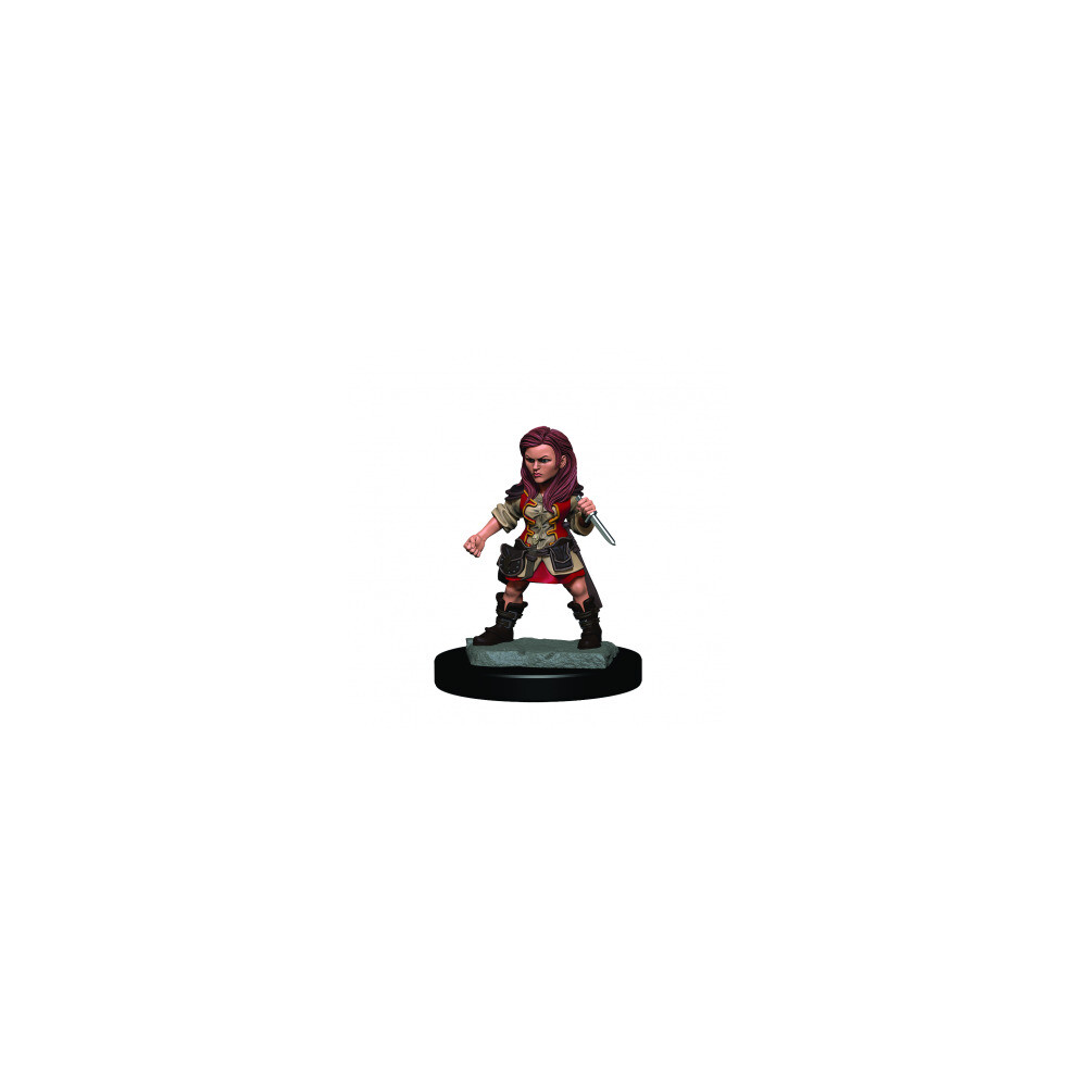 Neca Wizkids/Neca D&D Icons Of The Realms Premium Figures: Halfling Female Rogue - 6 Units