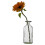 URBN-CHEF (2) Retro Style Glass Bottle Food Storage Container 4