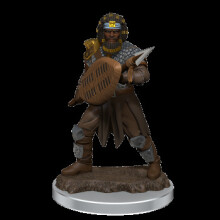 WizKids/NECA D&D Icons Of The Realms Premium Figures: Male Human Fighter - 6 Units