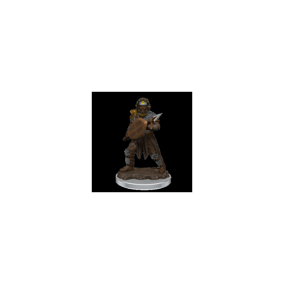 Neca Wizkids/Neca D&D Icons Of The Realms Premium Figures: Male Human Fighter - 6 Units