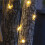 (Warm White, 300 LEDs) GardenKraft Micro LED Outdoor Solar String Lights 8