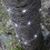 (Bright White, 300 LEDs) GardenKraft Micro LED Outdoor Solar String Lights 12