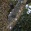 (Bright White, 300 LEDs) GardenKraft Micro LED Outdoor Solar String Lights 13