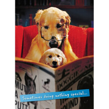 Avanti Sometimes Doing Nothing Cute Father's Day Greeting Card Photo Cards
