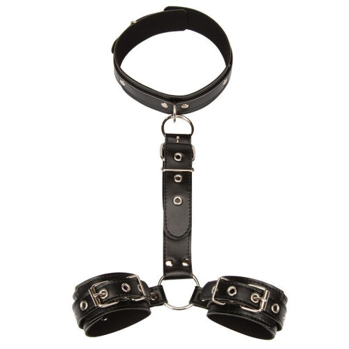 collar sex toy S&M Amor Collar and Leash