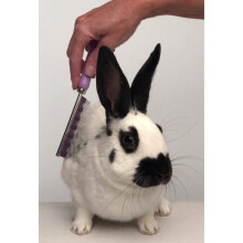 SMALL PET SELECT Hair Buster Comb