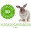 SMALL PET SELECT Hair Buster Comb 2