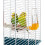 Ferplast Rectangular Shape Cage for Exotic Birds and Canaries, 49 x 30 x 48.5 cm 5