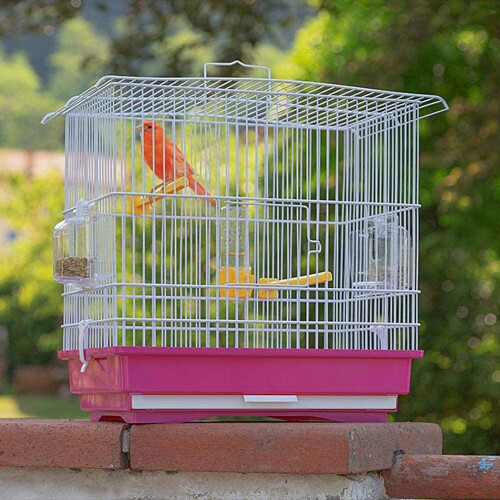 GIUSY Käfig für rote und weiße Vögel 2