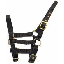 Rhinegold Nylon Foal Headcollar
