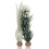 Biorb biOrb Ambulia Grey/Green Small 1