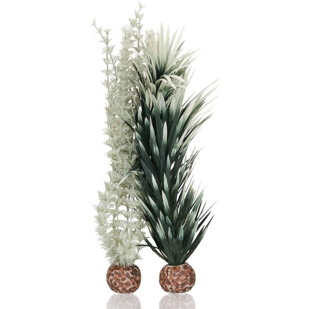 biOrb Ambulia Grey/Green Small