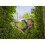 Gardena Tesoura para sebes com cabo de madeira Gardena 8