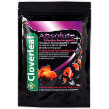 Cloverleaf PP250/6 Absolute + Potassium Permanganate Crystals 250g, Purple