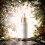 Alqvimia Essentially Beautiful Verjüngungsserum 30ml 3