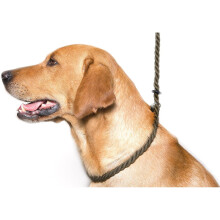 Dog & Field Deluxe Gundog Slip Lead (Olive Green) Soft 8mm Spliced Marine Rope with Rubber Stopper - One Size Fits All and Suitable For All Breeds of