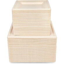 HAAGO - 100 Eco-friendly Sugarcane Compostable Biodegradable Plate Set - 26cm & 16cm