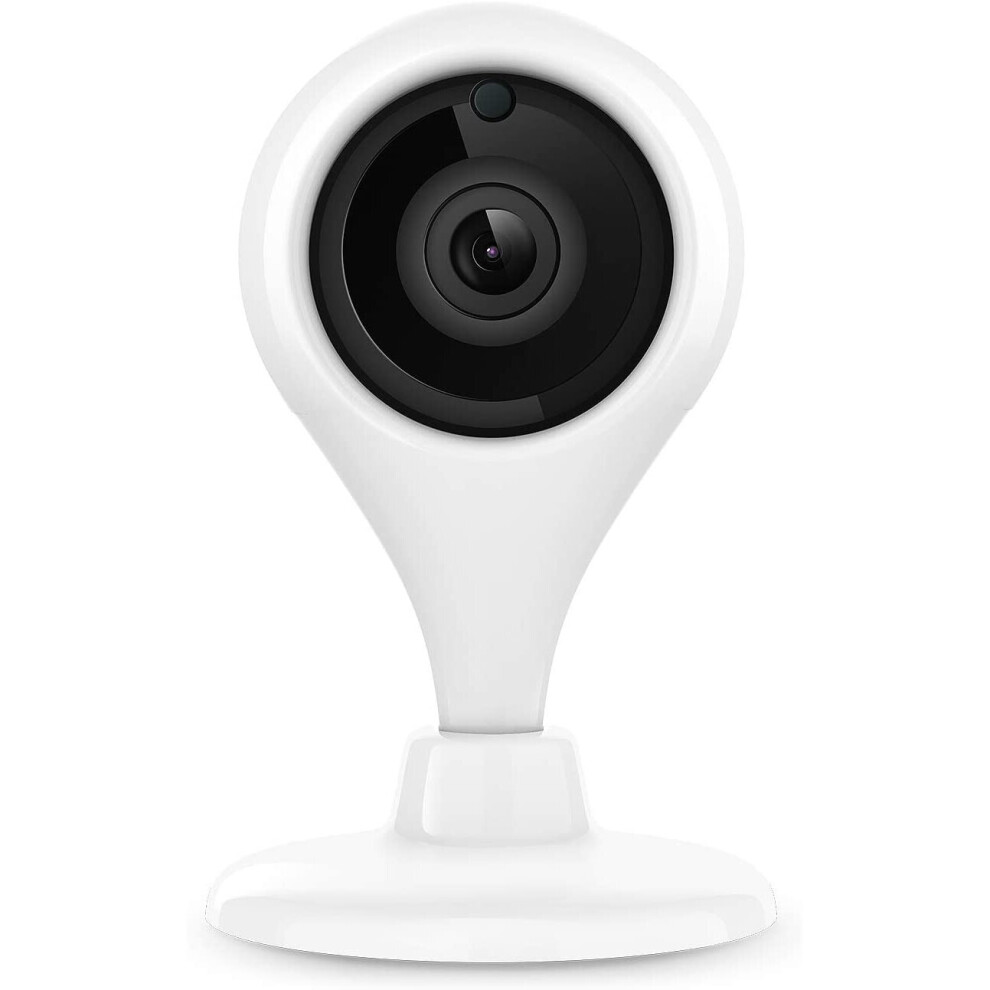 Two camera store home security system