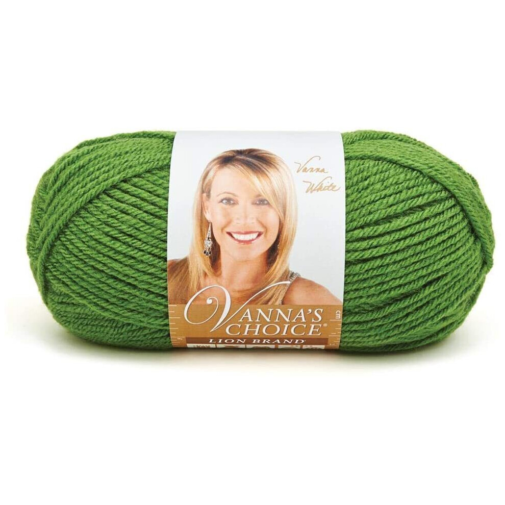 Lion Brand Yarn Company 1-Piece Vanna's Choice Yarn, Kelly Green, Each, 860-172C