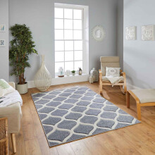 (13. 1095 1 Trellis - Grey, 120 x 170 cm) Modern Geometric Floral Abstract Area Rugs Check Multi Coloured Non Slip Runner
