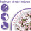 Beaphar Beaphar Calming Spot-On for Dogs 6