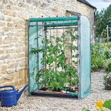 Tomato GroZone Max Steel Frame & Cover Smart Garden 6510006