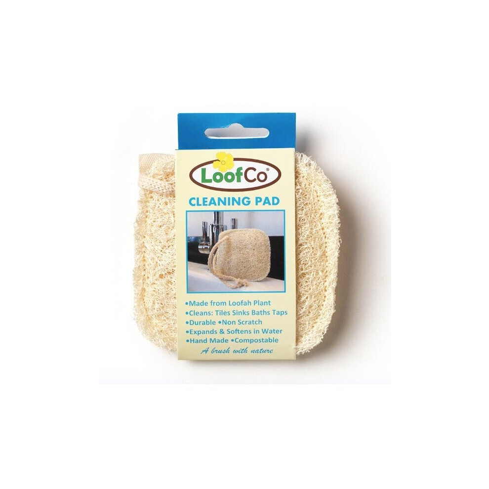 Loofco Cleaning Pad Pack 2Pack Size 2