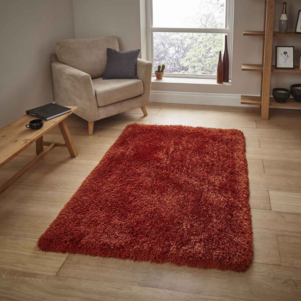 (Terracotta Orange, 120 x 170 cm) 8cm Thick Fluffy Shaggy Rug Small Large Mat Shag Pile Super Soft Warm Carpet Rugs