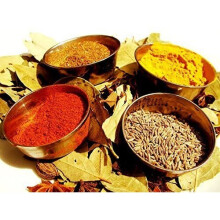 BALSARA's Curry Spice Kit 11 Spices World Class Authentic Quality **Christmas Offer** Perfect Refills for an Authentic Indian Spice Tin