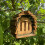 Selections Wooden Hanging Butterfly House 5