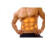 Slim-Pro XV2000 Advanced Unisex Abdominal Toning Belt 9