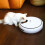 Koolatron Pet Fedder with Voice Message Automatic Lentek Five Meal 3