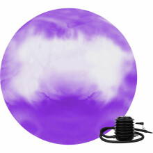 (Mixed Purple ) Swiss Ball 65cm Exercise Yoga Pregnancy Pilates