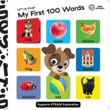 My First 100 Words - - book